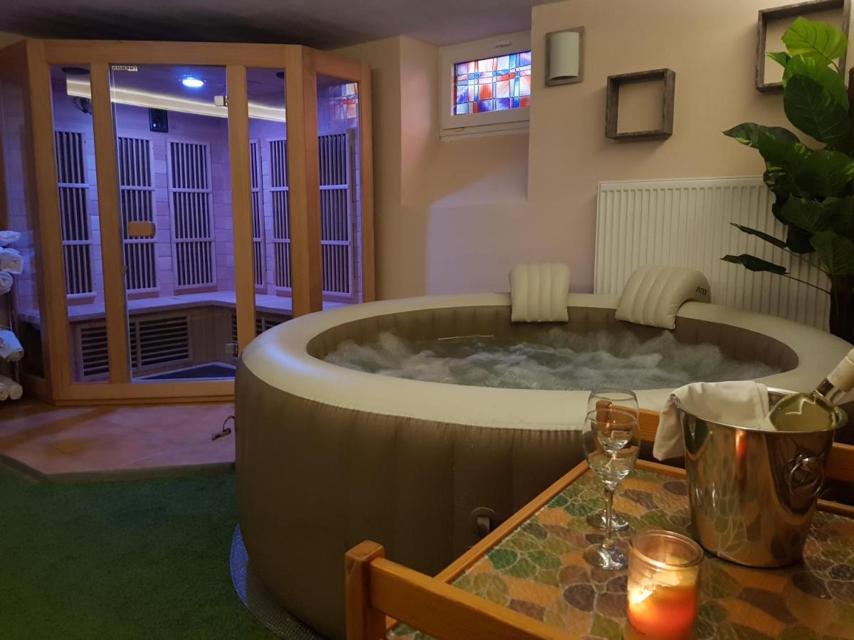 Vila Nejdek - Erzgebirge Aparthotel ภายนอก รูปภาพ
