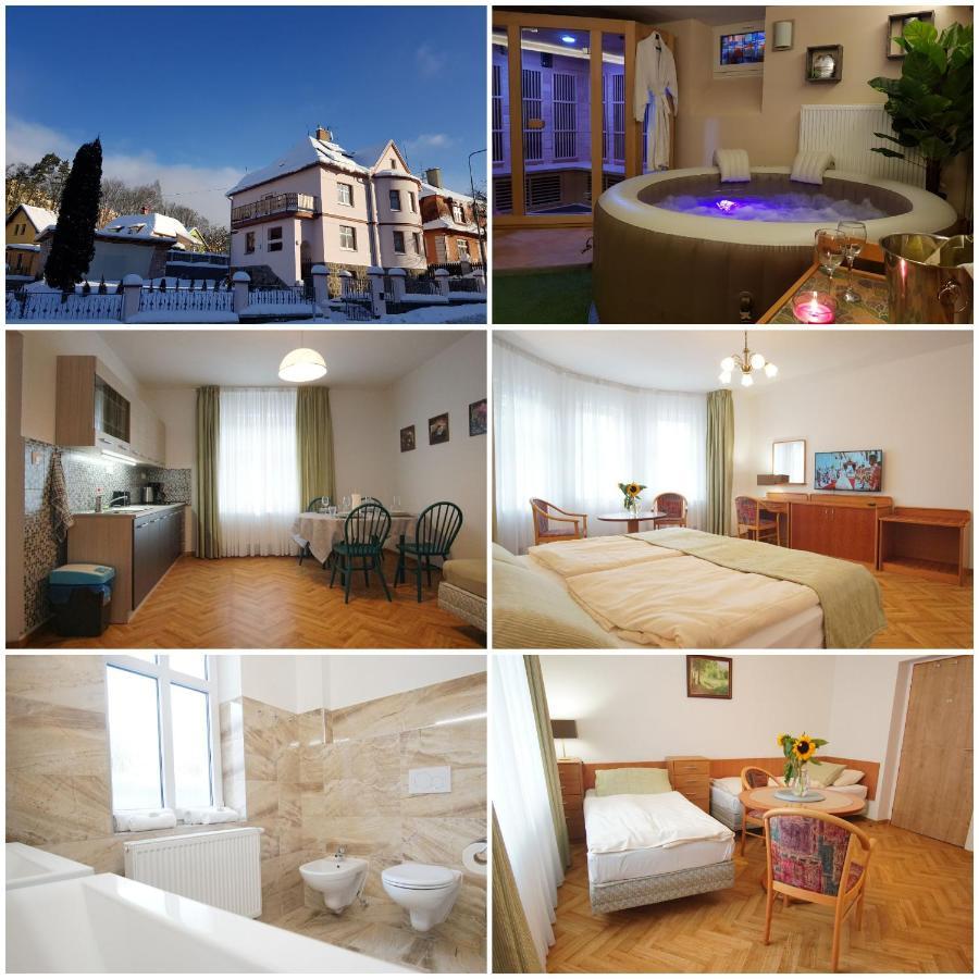 Vila Nejdek - Erzgebirge Aparthotel ภายนอก รูปภาพ
