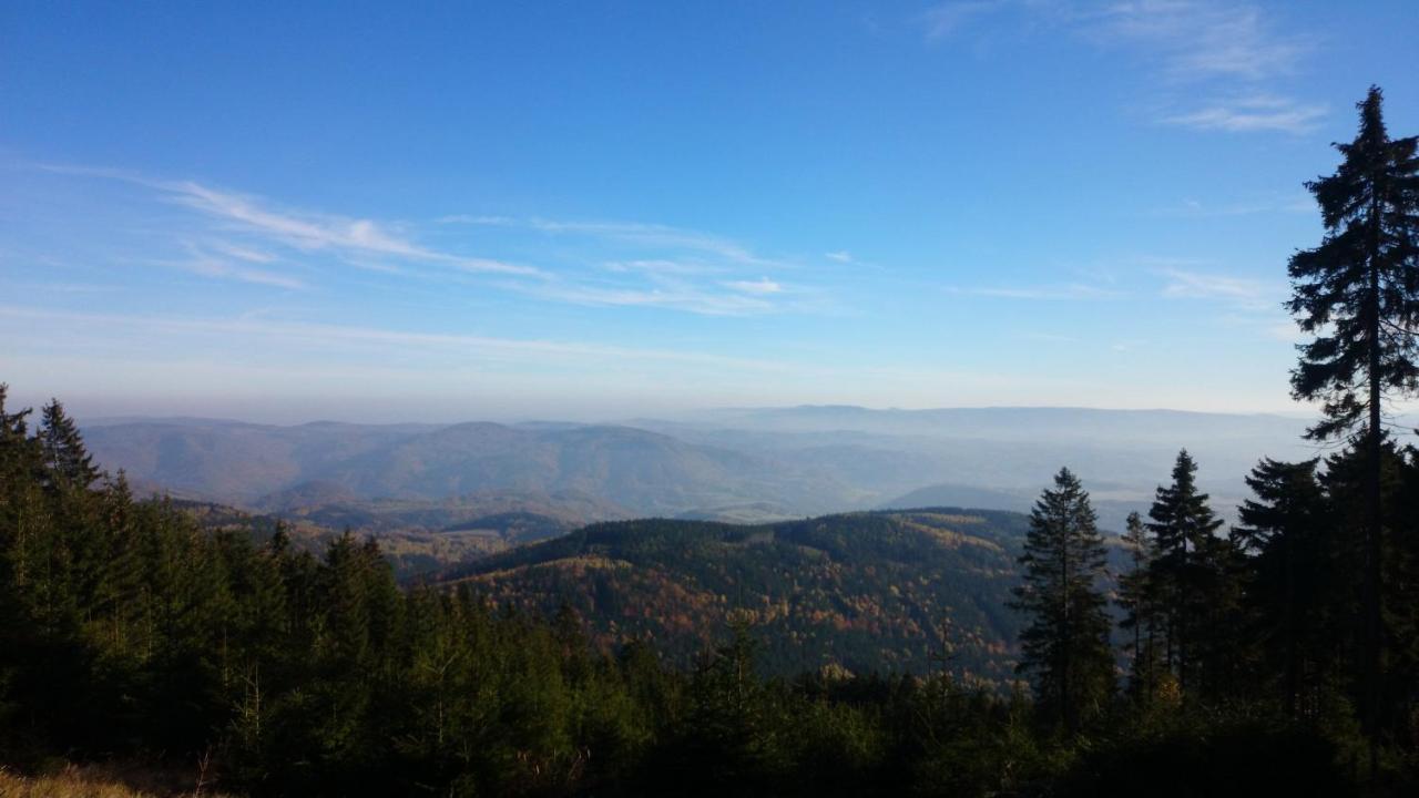 Vila Nejdek - Erzgebirge Aparthotel ภายนอก รูปภาพ